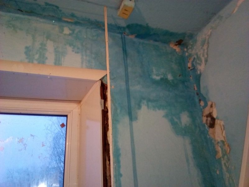 ���������� ������� ���������, ��� 8 ����� ����� �������� �� ����� �����������, �������� ����