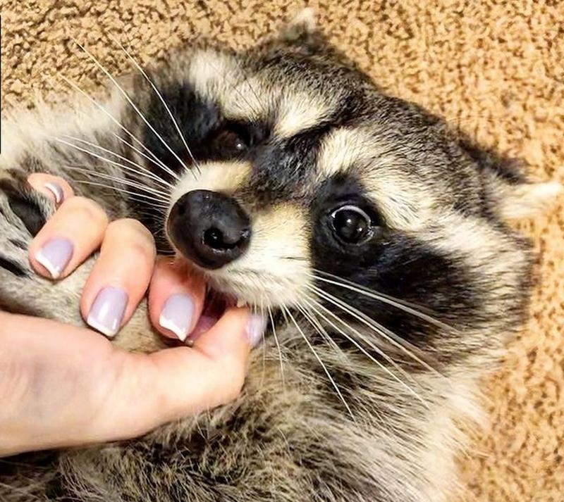 ��� �������� �������: ��������� ����� �� ������� ��-������ ��������� 8 ����� 