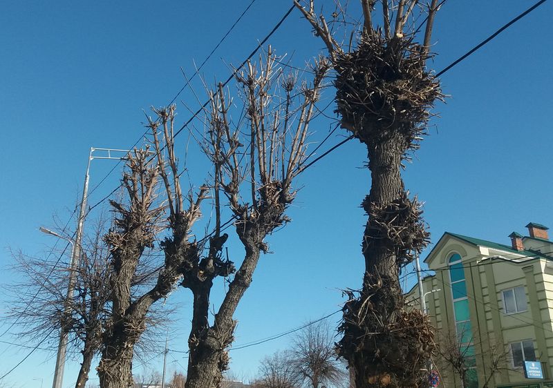 �� ����� ������ ������ �������� ��������: �������� ��������, ��� ������������ �� ������ �������� �����