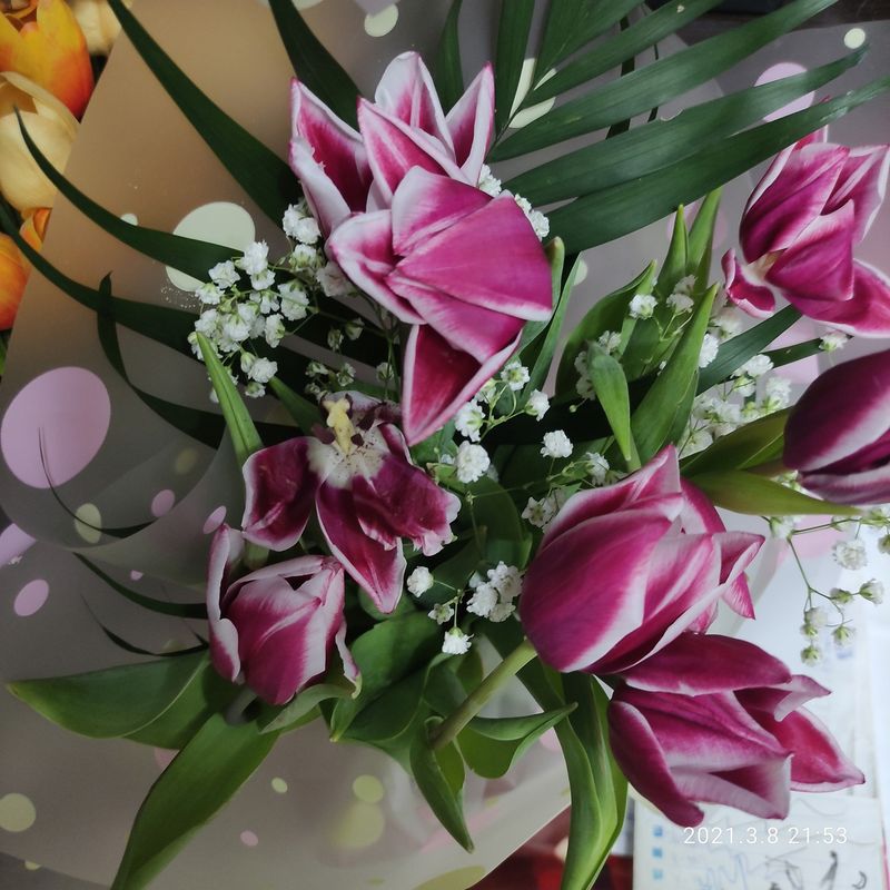 ����� �� ��������� � ���: �������� �������� �� ������ �������� ���������