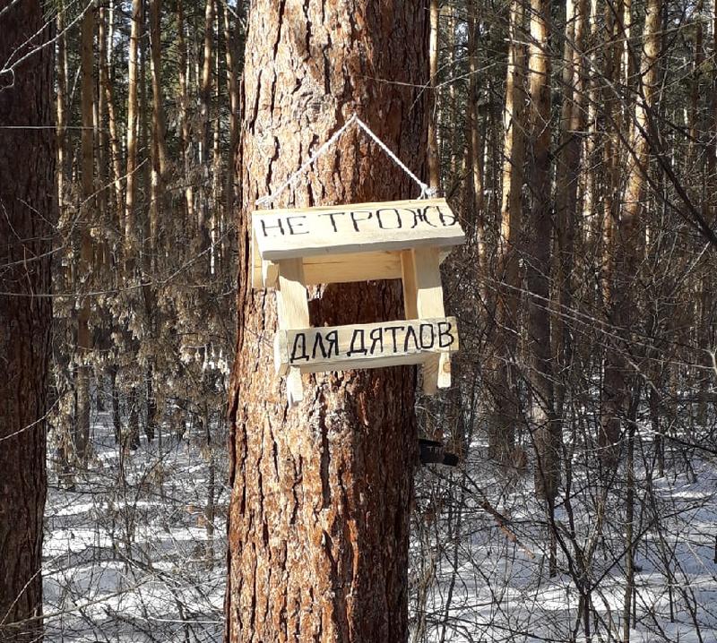 ����� ������������, ����� �� ������� ������: � ���������� ���� ��������� �������� � �����������������