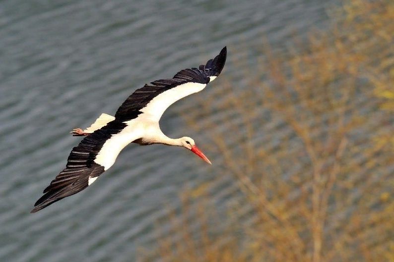 ������������ ��� ����� ������� ������� ����� ���� ��� � ��������� ��� �� �������� � �������� ��, ��� ������ � ����������