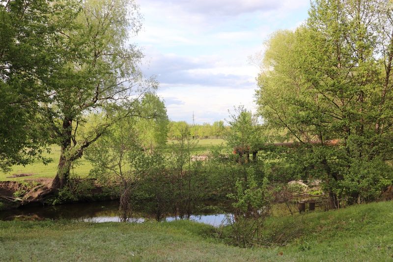 ��������� ���������� ������� ������� � ������������, ���������� �������� ������� ��� �� ����������