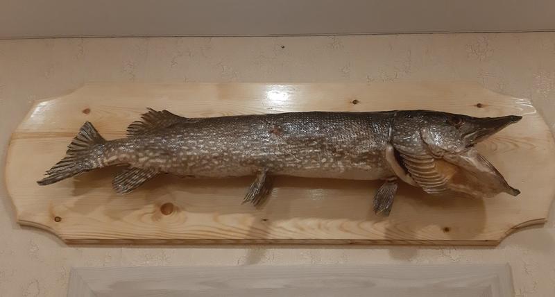 �������� ������ ������� ����� ������ �� �������, � ������ �������� ���� � ��� ��� 