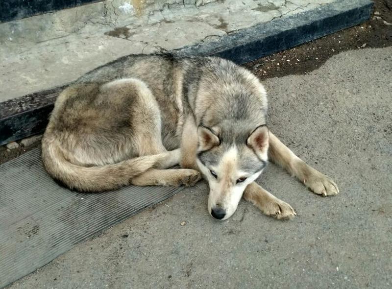 ��������� �������� ��� ����� �� ������� ���� ������� �����  