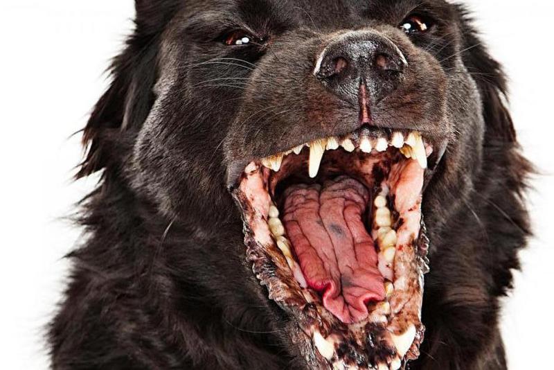 ������� ����� ������ �� ������ � ������� ��� ��������� � ���������� � �� ��� ����������� �������� �����