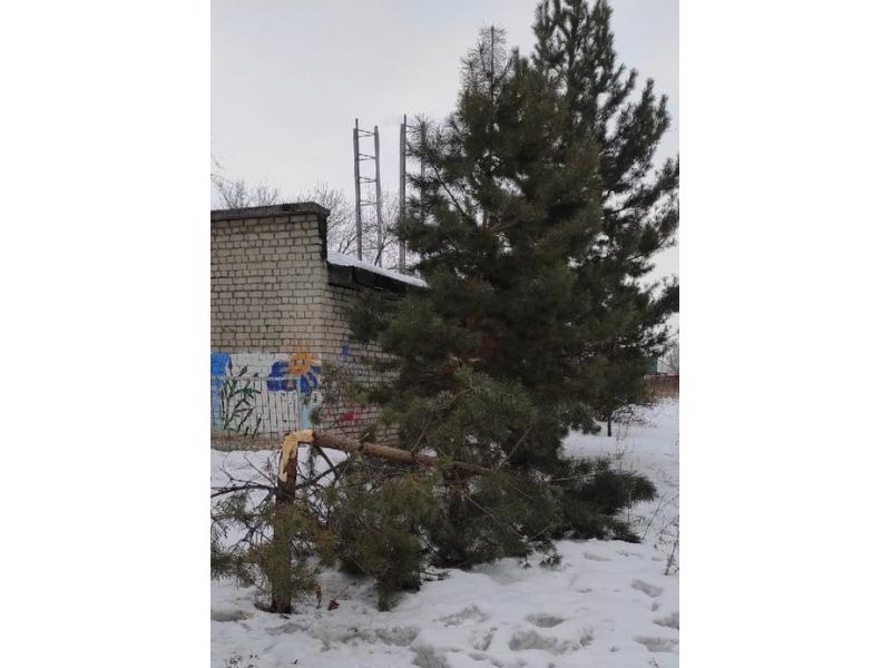 �������� ��������� ���, ��� ��������� � ����� �� ������ ������, ������ ��� �������� �����������