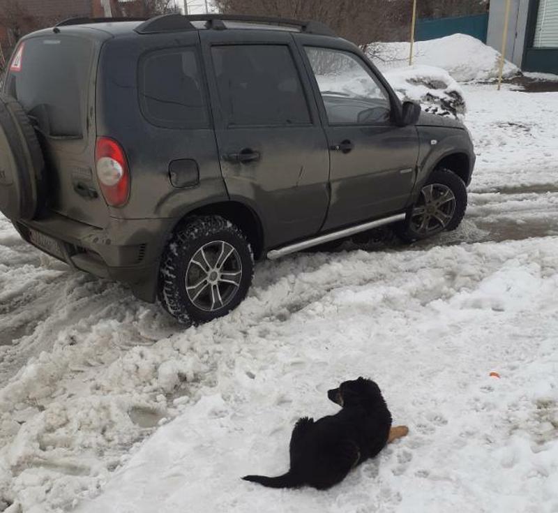 ���������� ������� �� ������������ ��� �������� �� ������� ������ 