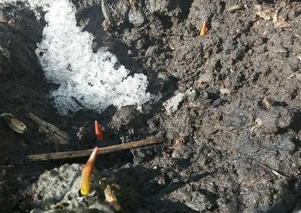 ���� ����������!�: ���������� �������� ���������� ���������� ����� ��-��� �����