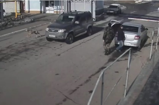 ���������� ������������� ������ ���������������: �� ����� �������� ���������� ������, ��������� �� �������