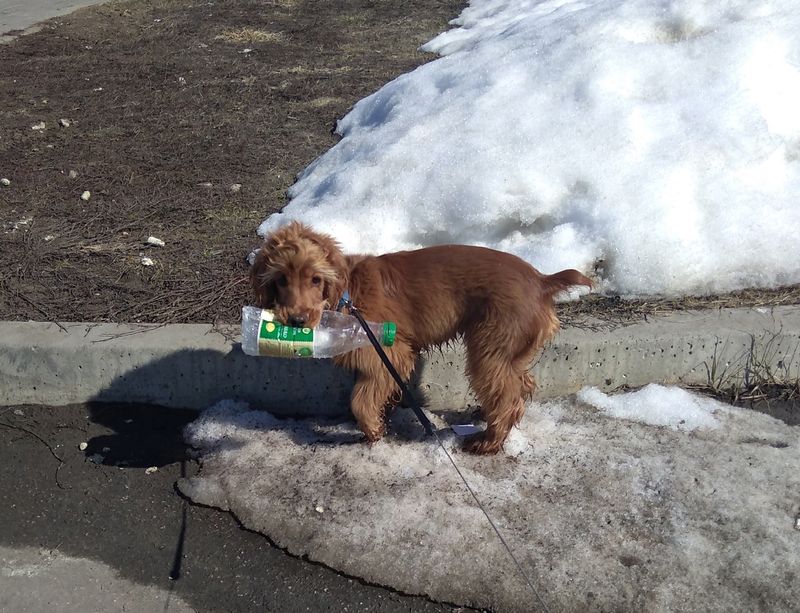 �������� ���������� ���� ��� ���������� ��������� �����. ���� �������� �� ����� � �� �������� 