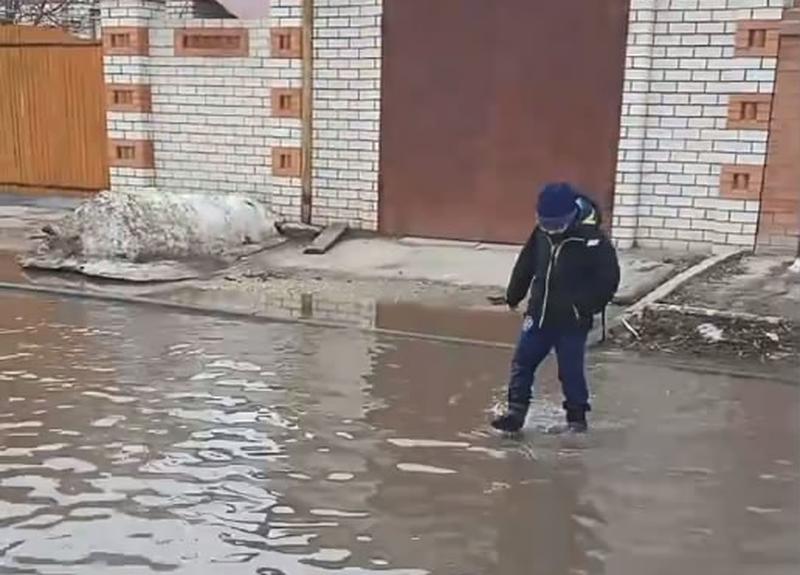 ��� ��� ��� ��������?� � ������� ��������� ����� �������� �������� ����. �����