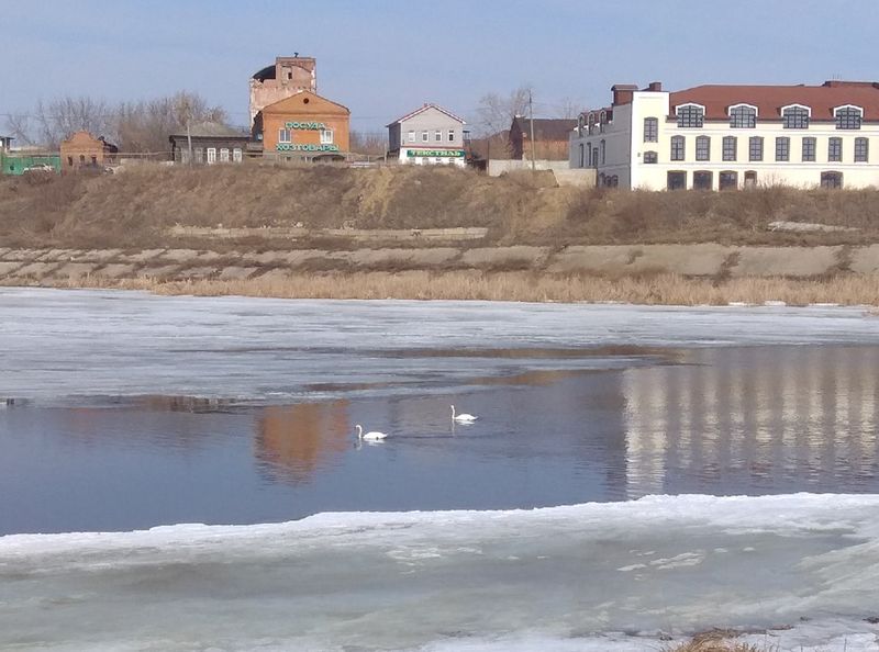 �������� �� ����� ���������� �������� �������� �� ����������� ������� � ����� ���������� ���������� � � ����