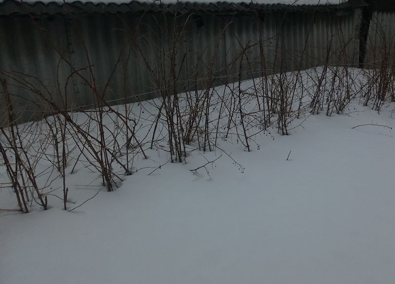 ������� �� ������, ��� ����� �����-�� ����������, � ��� �� ������ � �������, � ����� �� ��� ���������� ����