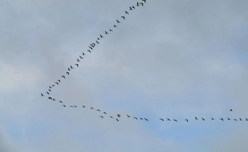 ���� ����� ��� �������� ���� �������� �������� ��������� �����, ��� � ������ ����� ���� ����������� �����