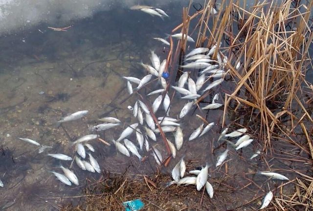 � ���������� ������� ����� ������ ������ ����� � ������������ ����� ������� ��������, ��� ��� �� ��������