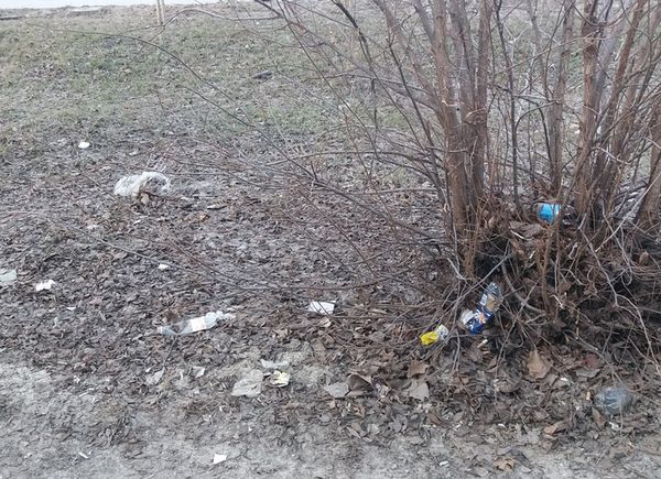 ��������� ����� � �������� ���� � ��������� ���������, ��-������� �� ��������: ��� ��������� ���������� �������