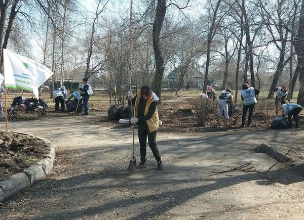 Молодой траве будет просторней: из Тимирязевского парка вывезли более 500 мешков прошлогодней листвы