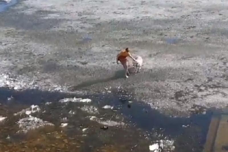 ������ �� � ��� ������!� - ������� ��������: ������� ���� ������ � ���������� ������ 