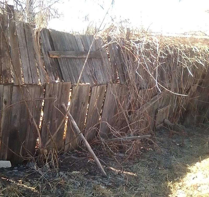 � ������� �������� ������ �����