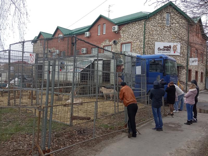 � ������ ������� �������� ����� � ����. ���� �� ����� ���������� ��������� 