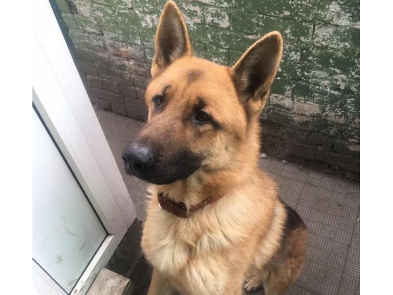 ������ ������� ������� ������, � �� ����������� � �������� ������   