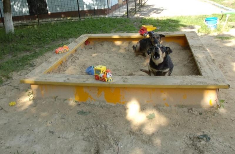 � ��������� ������� ������ ����������� �� ������������ �������. ������� � ��������  