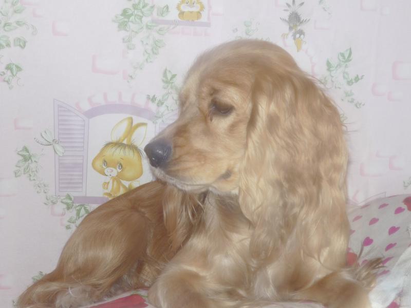 ��� ������� �������� ������: � ������� ����� ����� � ������������ �������
