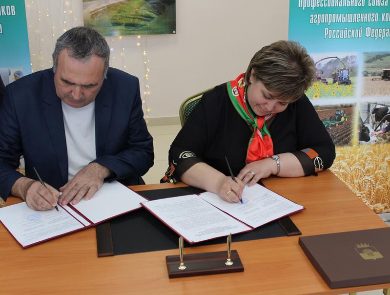 ���������� ������������ � �������� ����������� ������ � ��������������  