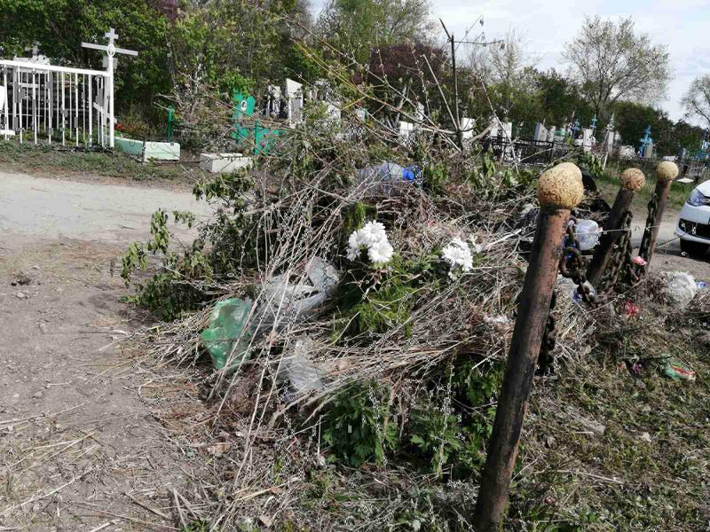 ����� �� �������� ��������� ���������� �������
