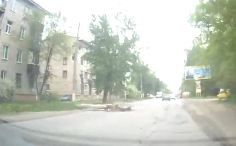 �� ����� ������, ��� � ������� ������ ������� ����� �� ����������� ���� ����������