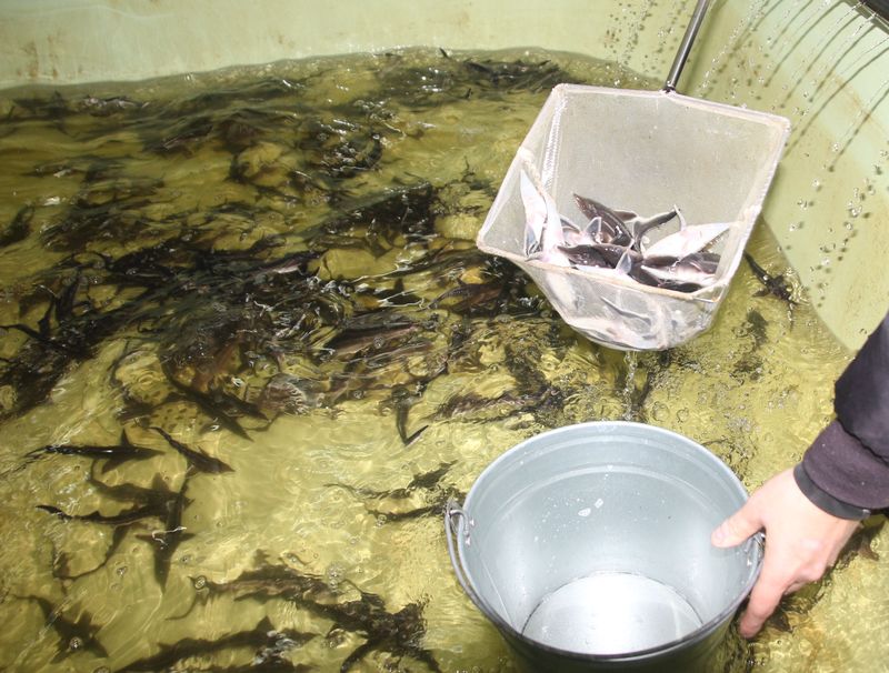 � ����� ��������� ������� ������ � ��������. � ������������� ����� ������ ������� ���������� ������� ������