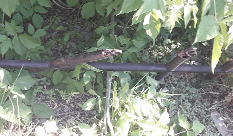 �� ����������� � ������� ���������� ��������� ����� 