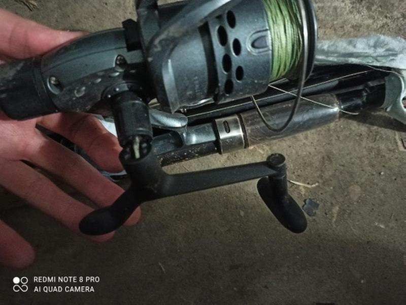 �������, ���� ���� �� ������: ������ ������� ������ �� ���������� ������� ���������� ����� 