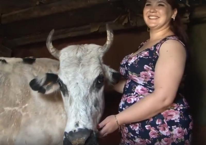 ����� �������� ��������� ����������� � �� ���������� ������ ���������� ���������. ����� 