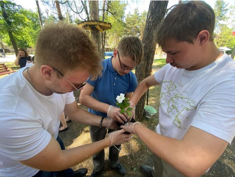 ��������� ����-�������� ����� ������� ������� ���� 