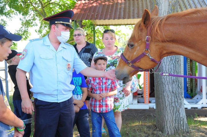 ������������ ������� �������� � �����-���������� �����
