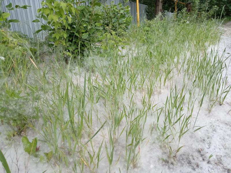 � ������� ����� ��������� �� ��������� �����: �������, �� ������ 