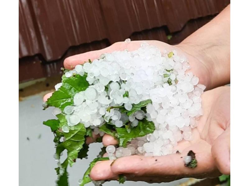 � ������� ������ ������� ����. ��������� ������ ������ ������� ������