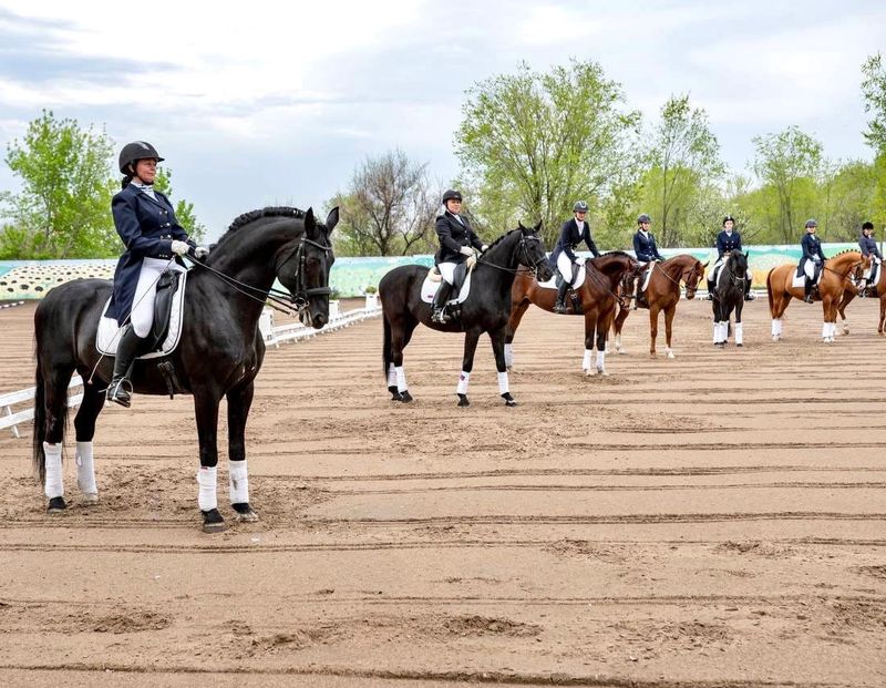 ���������� ���� � ������ ������� ���������� ������� ������� �� ���������� � �������. �� ����� - ������������ �.�. ����� ������� ��������  