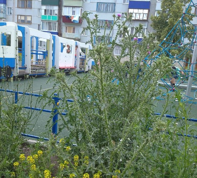 ������ ��� ������? ��� ���� ��������������� �������� ������� � �������