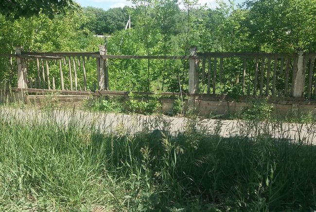 ������� �����, ��� ����������� �������, �������������, ������ ������ � ������������� ��������� � ����� ������ 