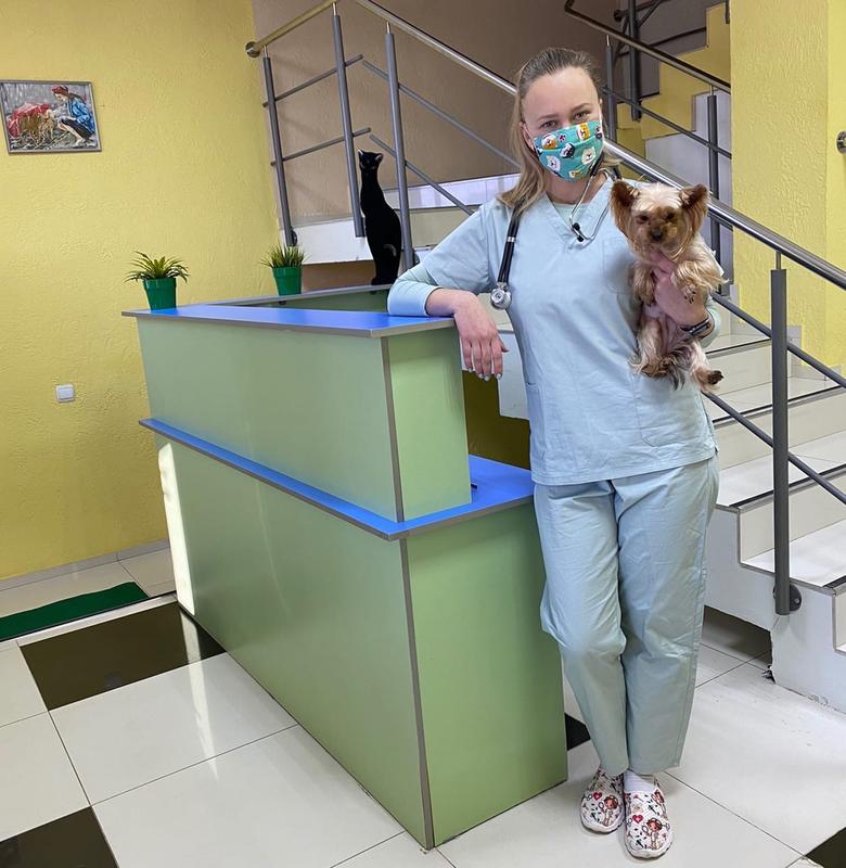 Кошкин дом ветклиника сызрань. Ветеринар сызрань. Ветеринар сызрань. Кошкин дом сызрань 50 лет октября 75а. Ветклиника кравченко череповец.