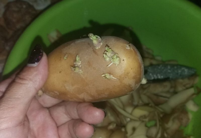 ������ ������� ��������� ���� ������?: �������� ���������� �����, ������� ������� ������� ������� ��������