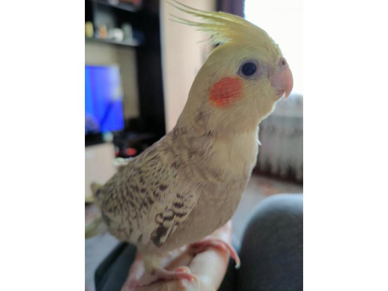 ���� ��� �������: ���������� ������� ���������� �������������� �� ���������� �������� ������� 