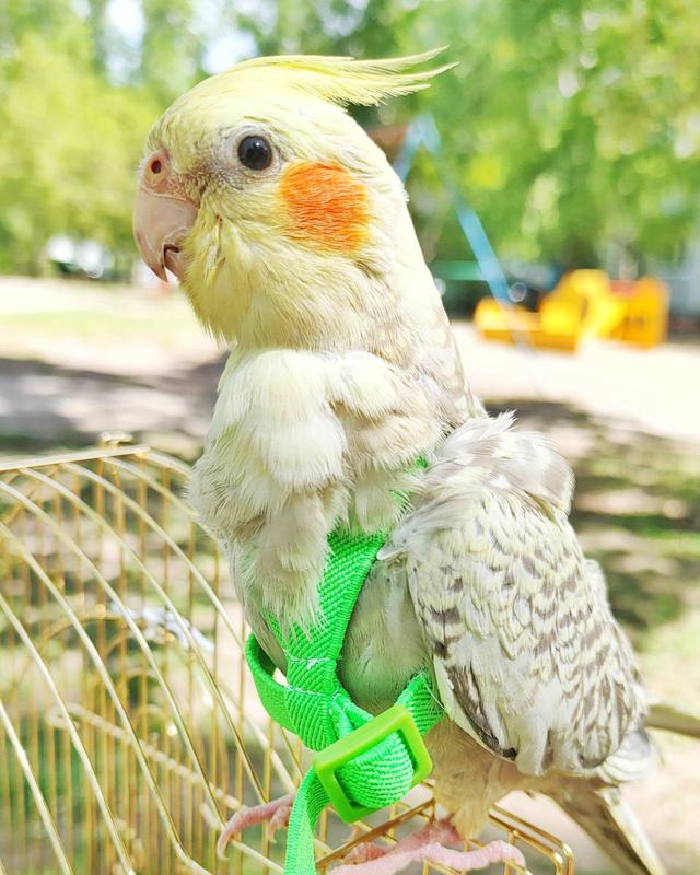 ��������� ������ ������� �� ����� � ������ ����� � �������, �� ����������� ������� � ��������� ������� ������