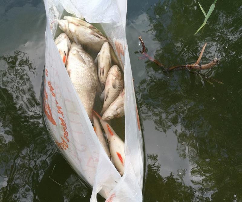 �� ������� ����� ������ ���� � ������, �� �������� ����? ������ ������� ��������� ����������� ������� 