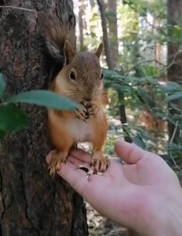 �����, �������� � ������ ��������� ������������ ����� ������� ������� - ��� �� ��������� ��� ���� �������