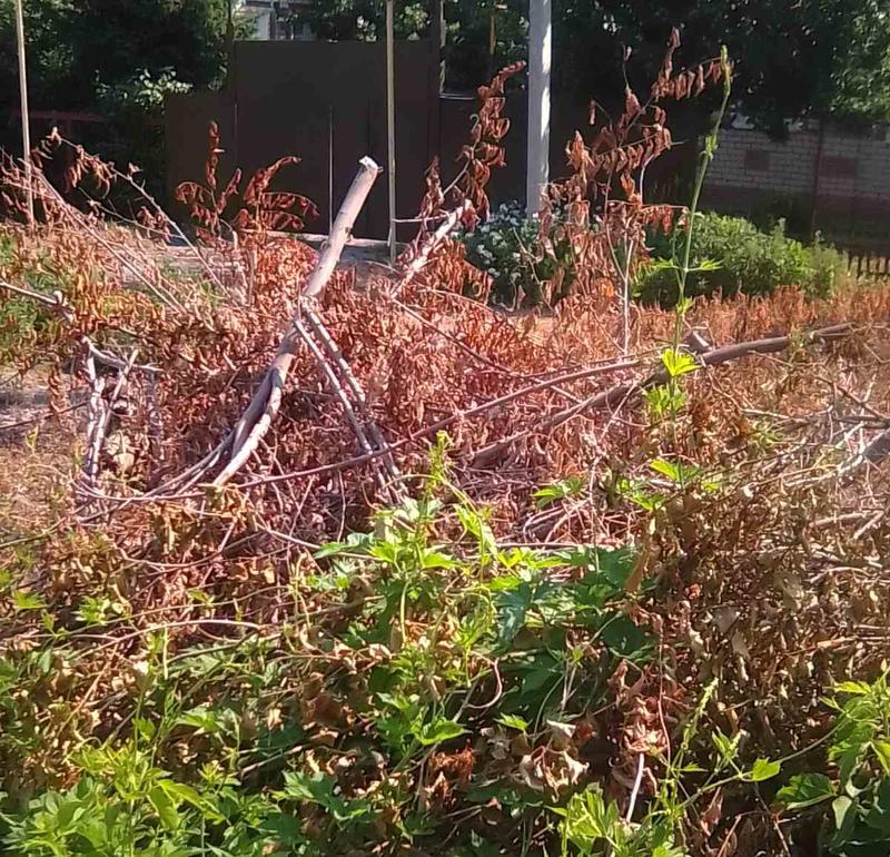 ������� ������ ���������� ��������������� ��������� 