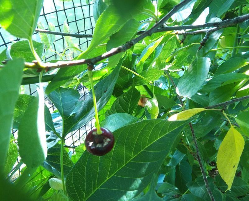 ������ ������ ��������-���������� �� �������, � ��� ���� - �� ���� 